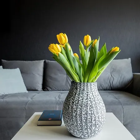 Easy Rent - Amber 10, Basen & Spa, Centrum Free Parking 24h Check-in Lublin
