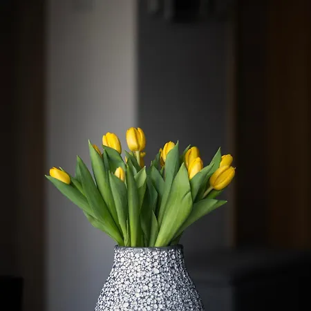 Lägenhet Easy Rent - Amber 10, Basen & Spa, Centrum Free Parking 24h Check-in Lublin