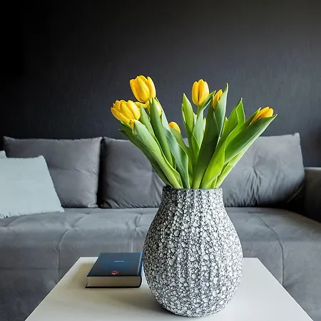 Easy Rent - Amber 10, Basen & Spa, Centrum Free Parking 24h Check-in