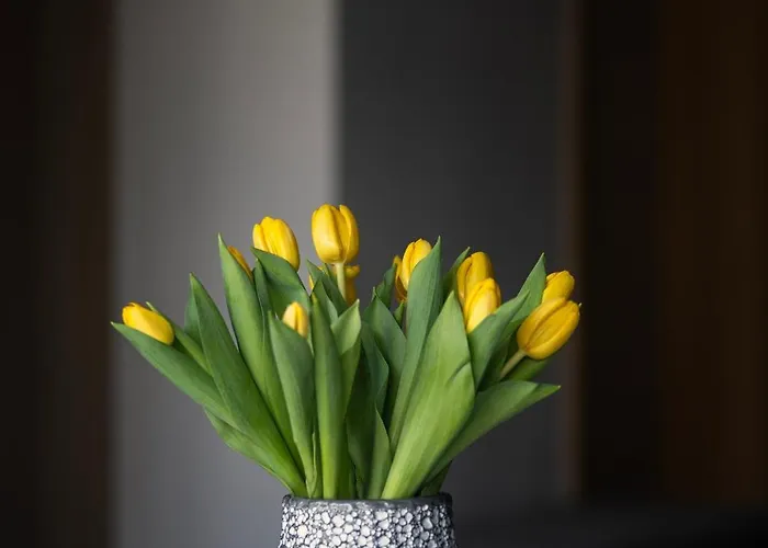 Apartament Easy Rent - Amber 10, Basen & Spa, Centrum Free Parking 24h Check-in Lublin